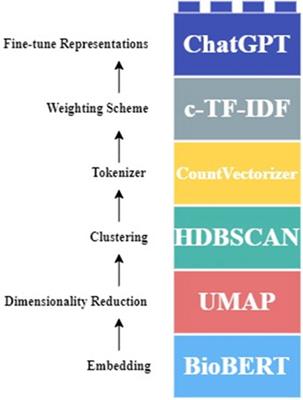 AI-powered topic modeling: comparing LDA and BERTopic in analyzing opioid-related cardiovascular risks in women